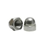 Dome Nut – GI / SS