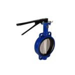 CI Butterfly Valve