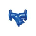 CI Y Type Strainer Flange Type