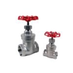 SS Gate Valve