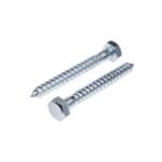 GI Coach Screw